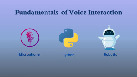 voiceInteractionSystems